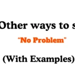 Other Ways to Say No Problem