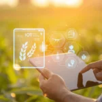 Best Practices for Conducting Frontline Research with Mobile Data Collection