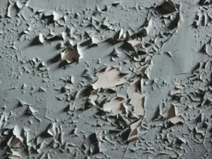 Stop Peeling Paint and Protect Bathroom Walls from Damage