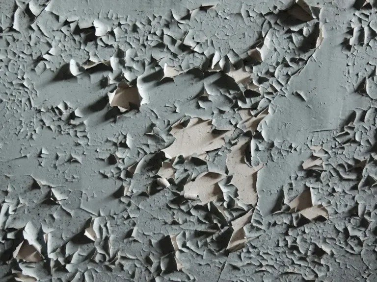 Stop Peeling Paint and Protect Bathroom Walls from Damage
