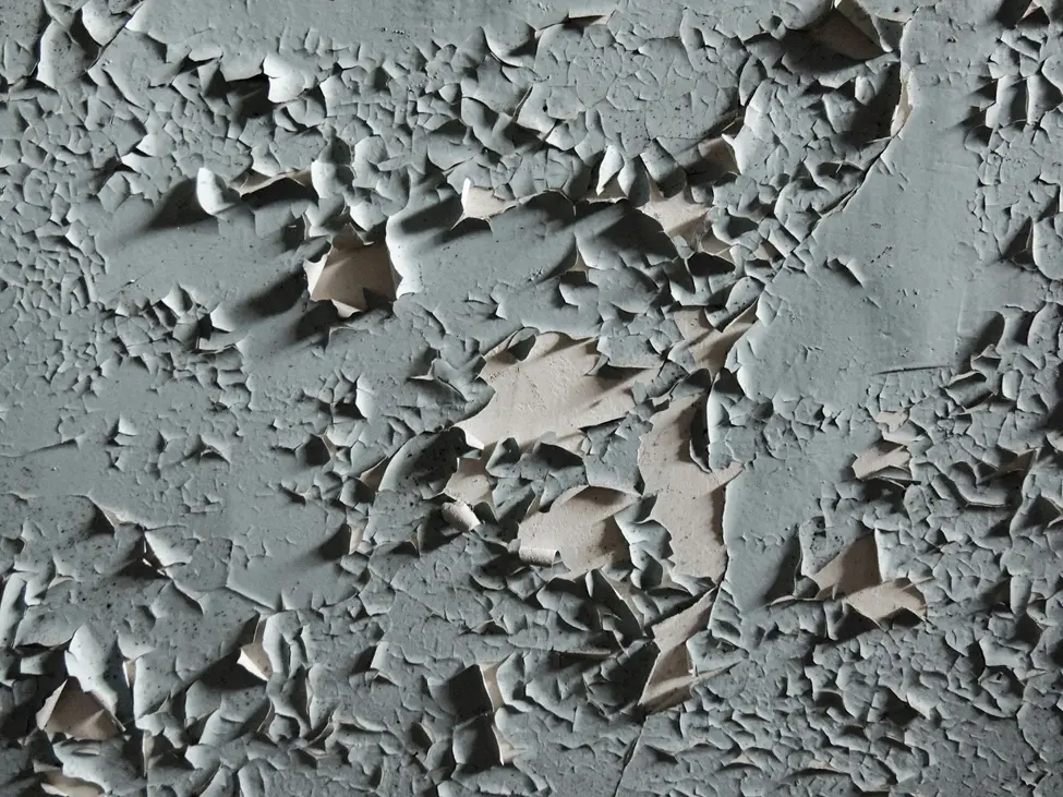 Stop Peeling Paint and Protect Bathroom Walls from Damage