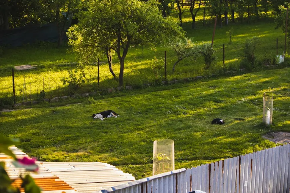 How Outdoor Improvements Can Make a Home Safer for Families