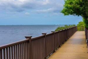 The Ultimate Guide to Choosing the Right Fence for Your Tampa Bay Property