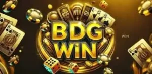 BDG Win Platform Overview for New Members