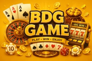 BDG Game Easy Navigation and Gameplay Tips