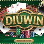 Diuwin Login Process Explained Step by Step