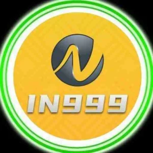 Smart Tips for Getting Started with IN999